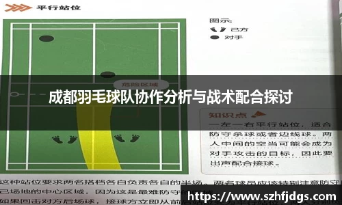 成都羽毛球队协作分析与战术配合探讨